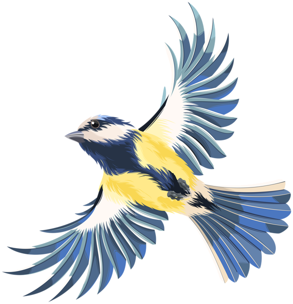 Vogel